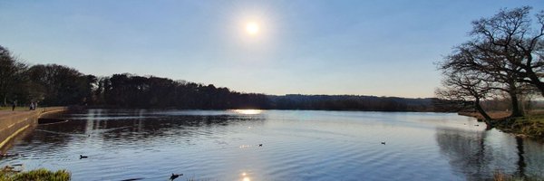 Rich_Forrest Profile Banner