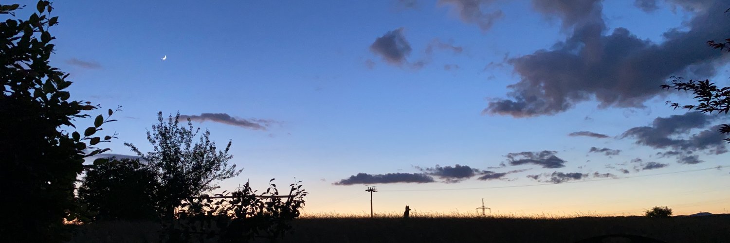 uwe_tittmann's profile banner image
