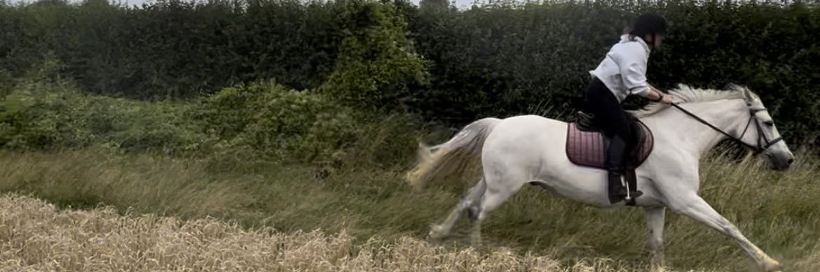 Hannahpoole's profile banner image