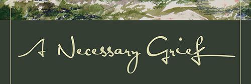 bamaterp's profile banner image