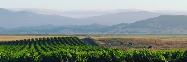 PetalumaGap Profile Banner