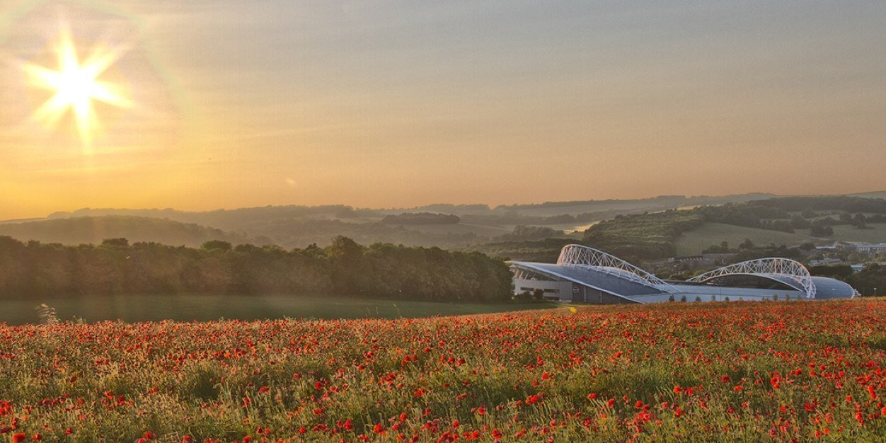 Gr𝑒g 🟦⬜️ banner