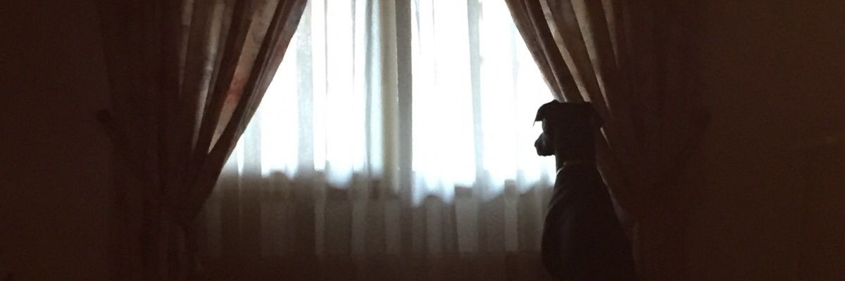 EliGeZ's profile banner image