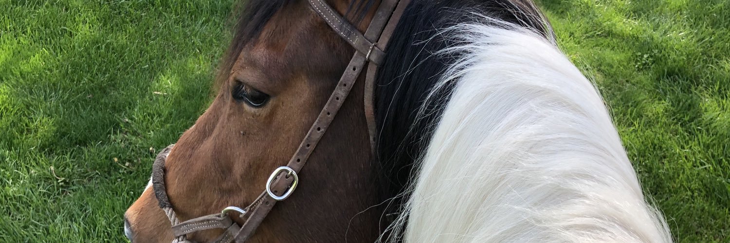 gingerrharriss's profile banner image