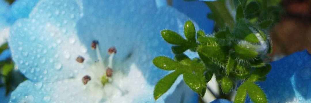 natume458's profile banner image