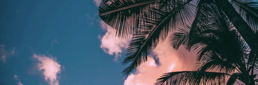 MonicaParra94's profile banner image