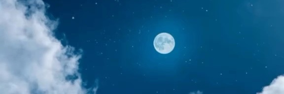 sandifer's profile banner image
