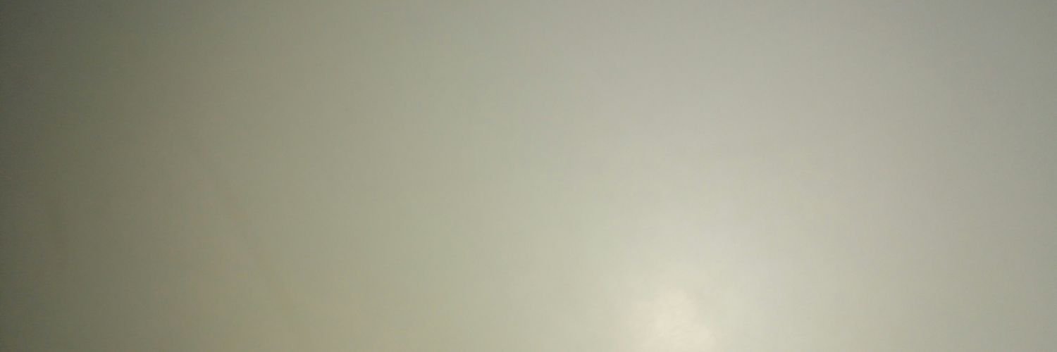 DorsoCarla's profile banner image