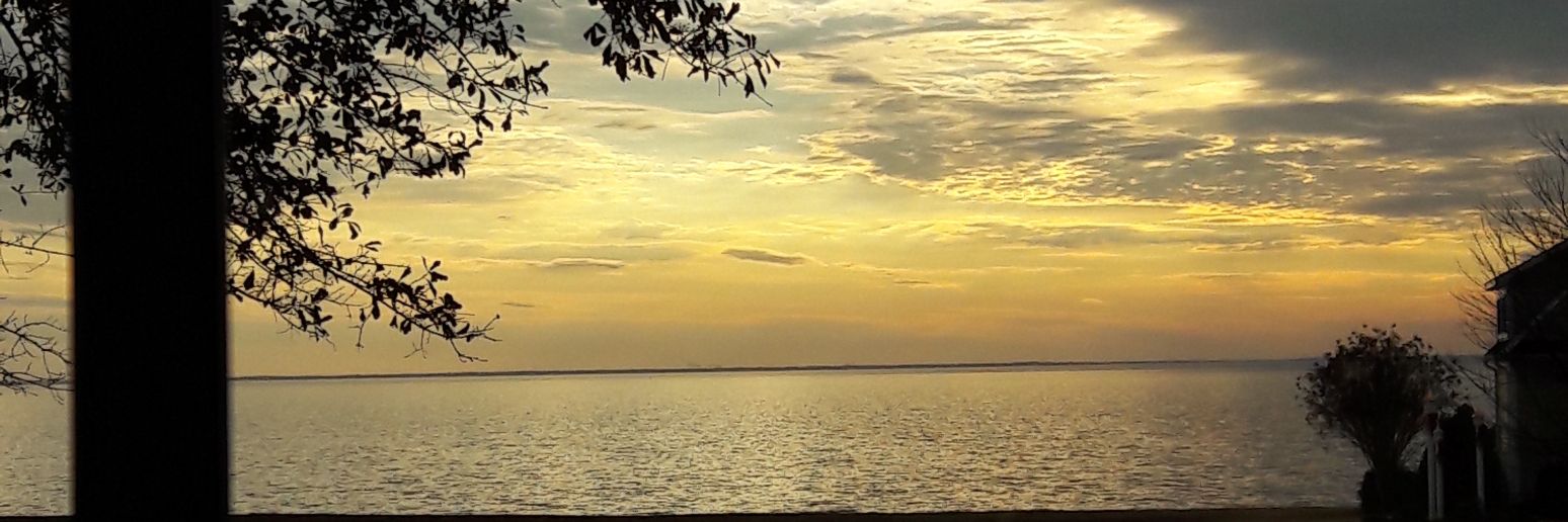 kayare33's profile banner image
