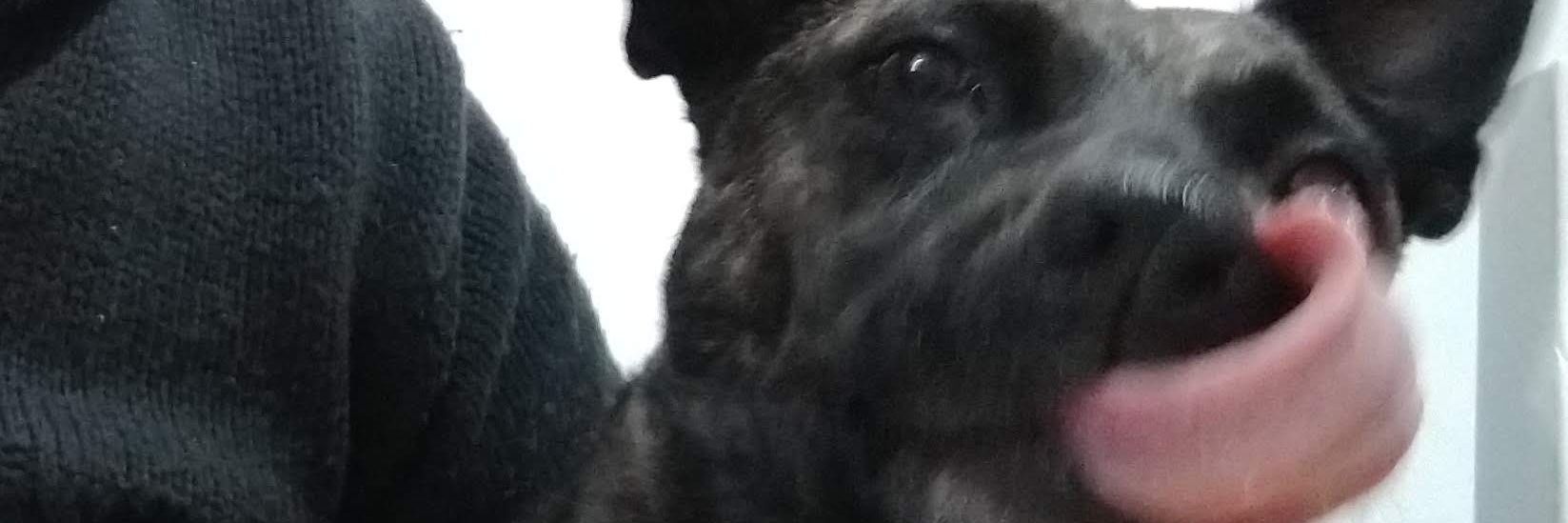 diegocsz's profile banner image
