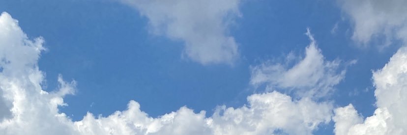 nayfernandes98's profile banner image