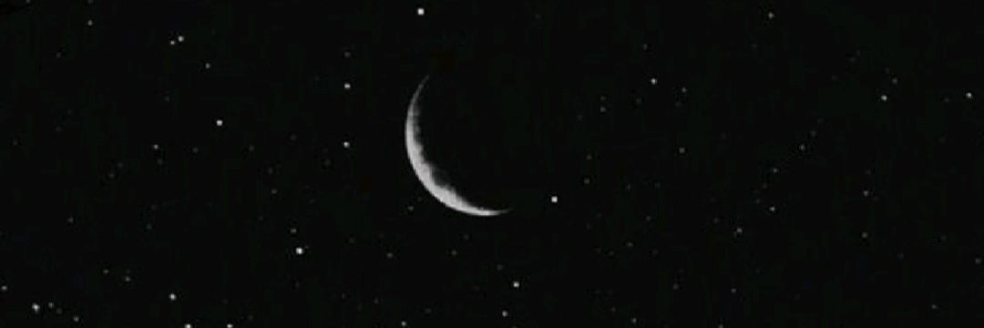 t h a y banner
