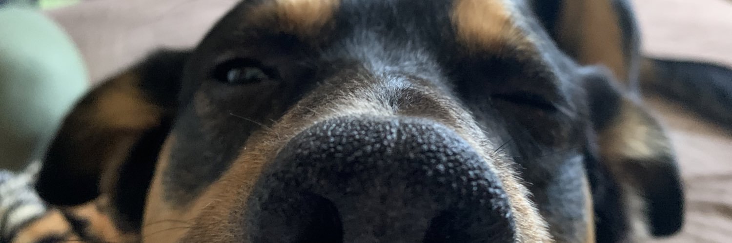Vick_1903's profile banner image