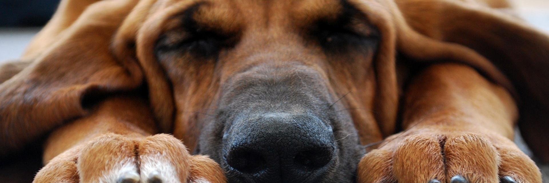 Caxtonizer's profile banner image