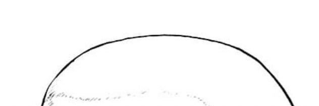 GEKIBUTORIGAN's profile banner image