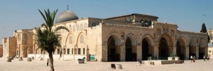 Ramy Adel banner
