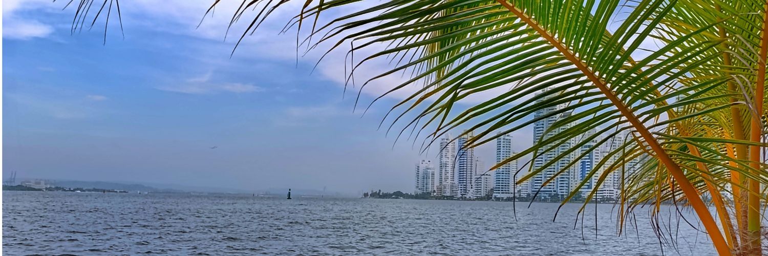 carolinadg08's profile banner image