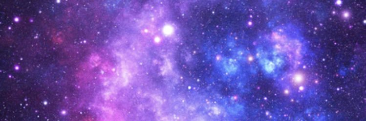 sandraiwanowicz's profile banner image