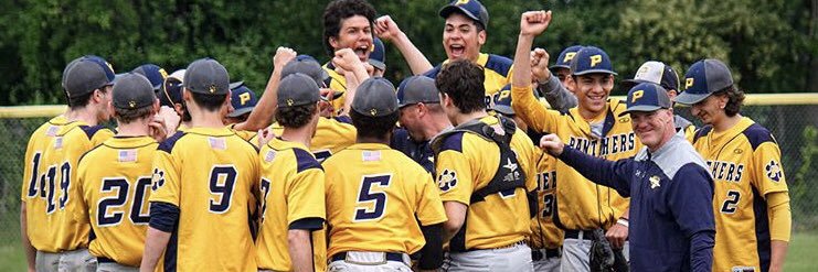 Panas Baseball banner