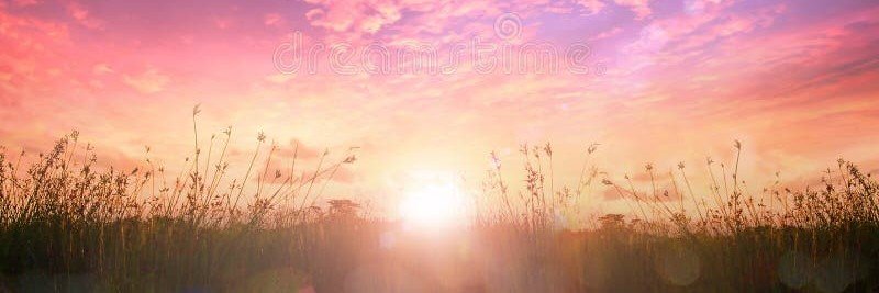 Sarah_Cerqueira's profile banner image
