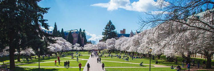 Chad Lochmiller banner