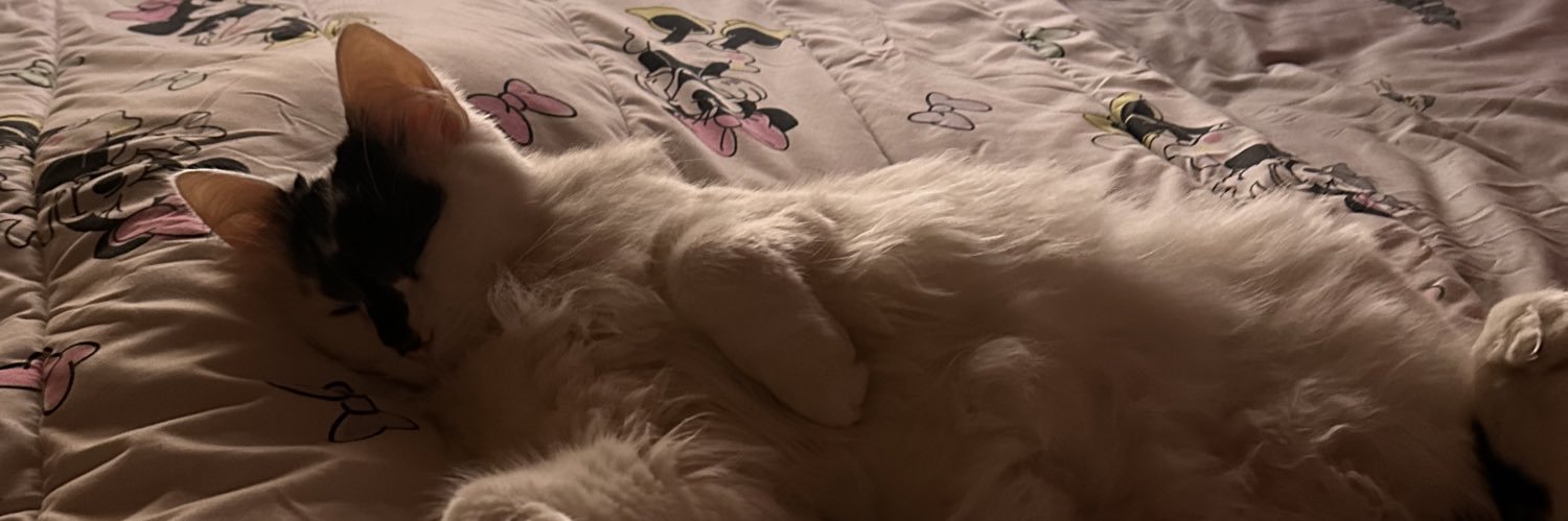 kittytracey1's profile banner image