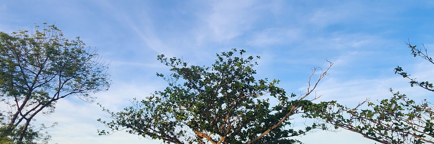 sole💫 banner