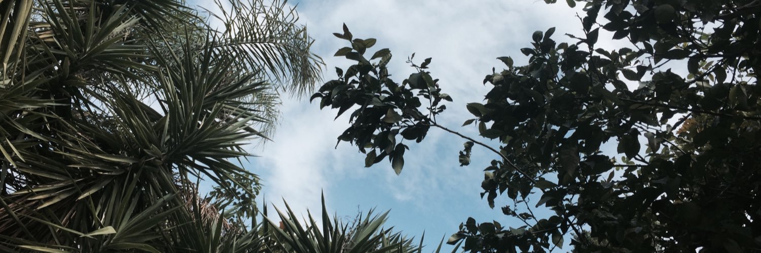 CohenYarin2's profile banner image