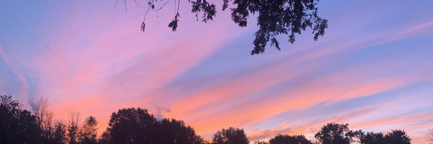 plutofan1's profile banner image