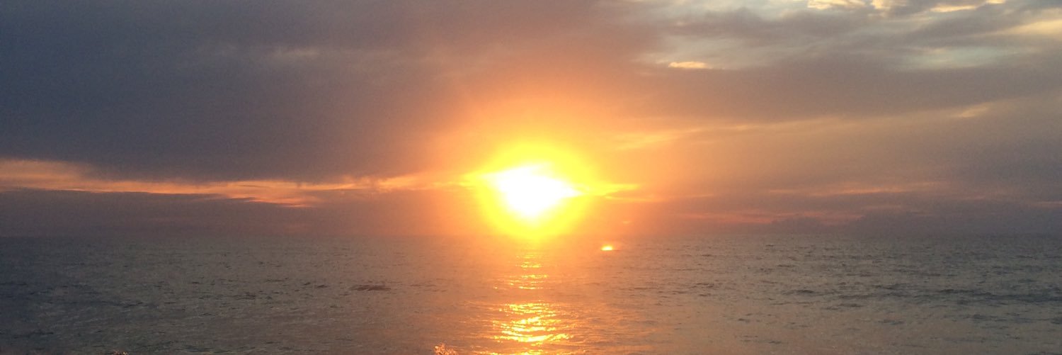 max_wilken's profile banner image
