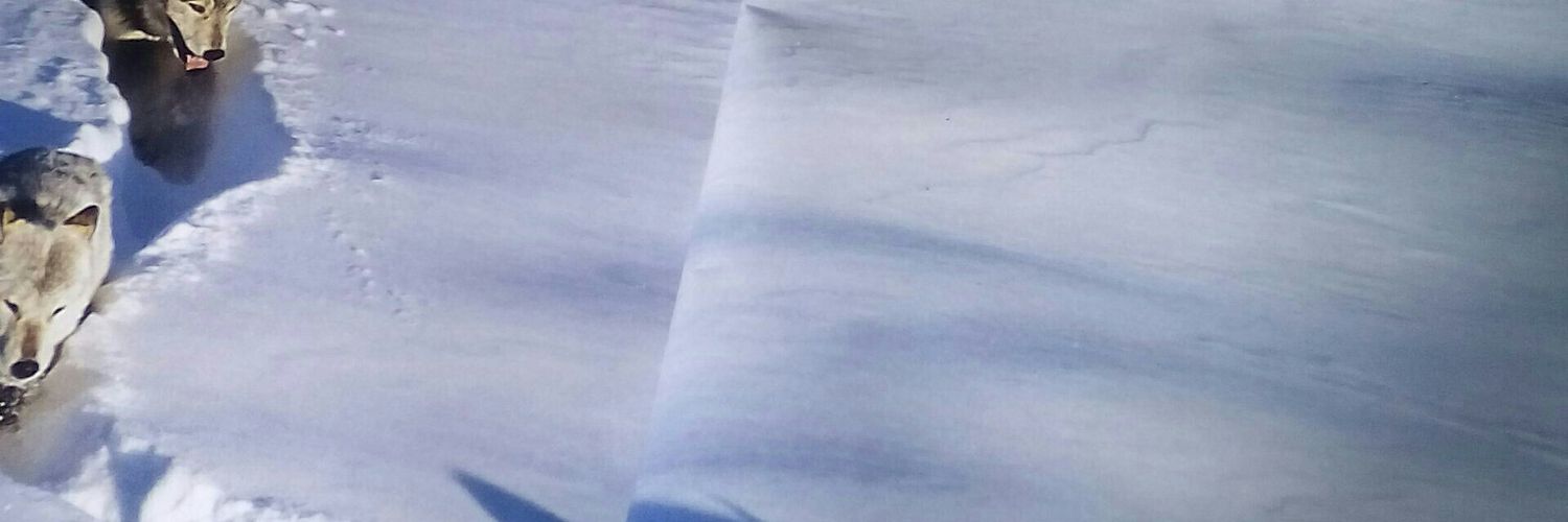 t_laurencio's profile banner image