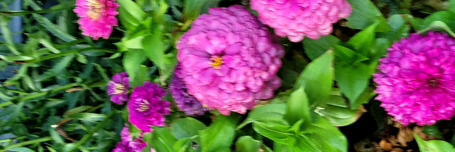 Natural_Mystic banner