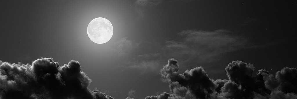 Samuel_LoneWolf's profile banner image
