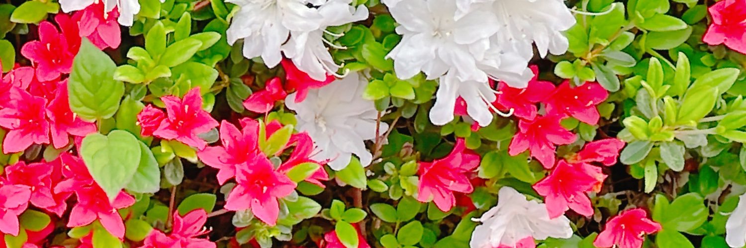 396_mt's profile banner image