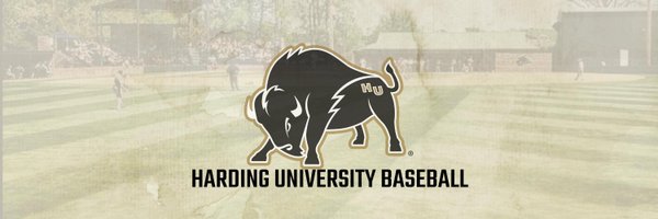 Harding Baseball Profile Banner