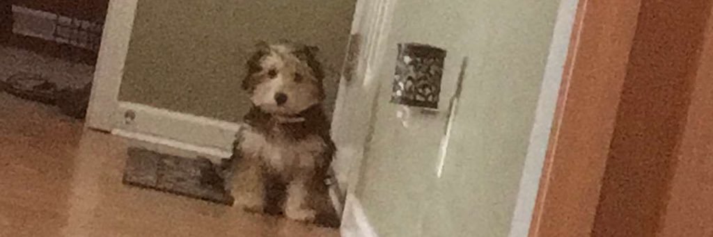 riley054's profile banner image