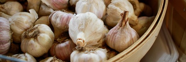 AnscheChesedCSA Profile Banner