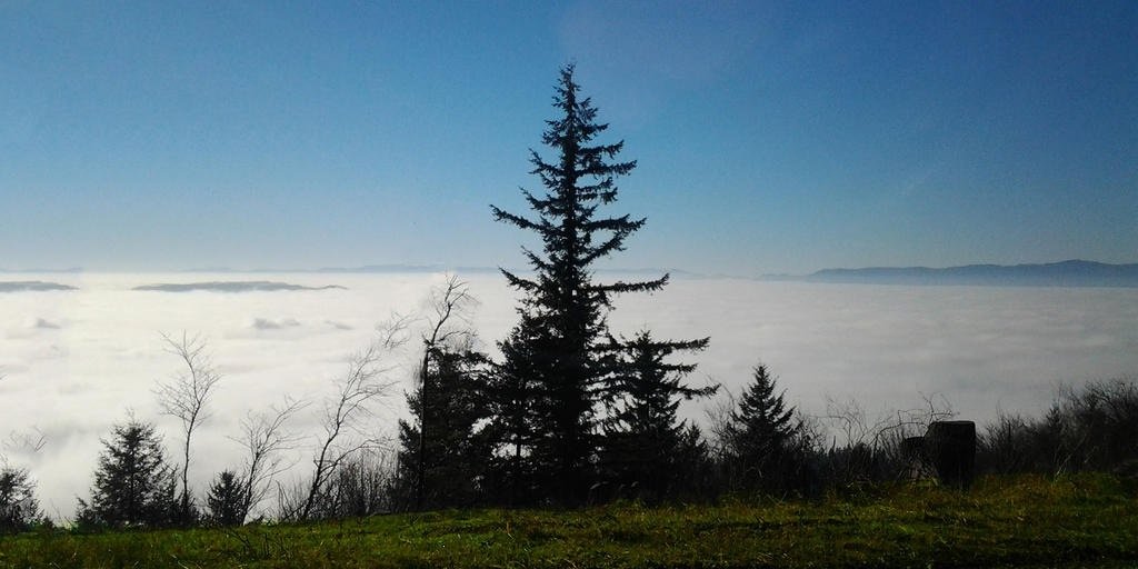 KyleRouth's profile banner image