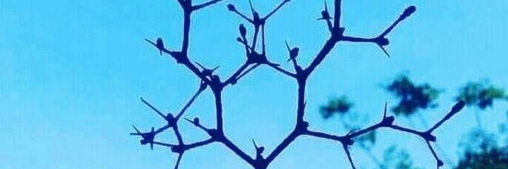 lmsm_'s profile banner image