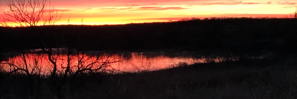 KobyLanning's profile banner image