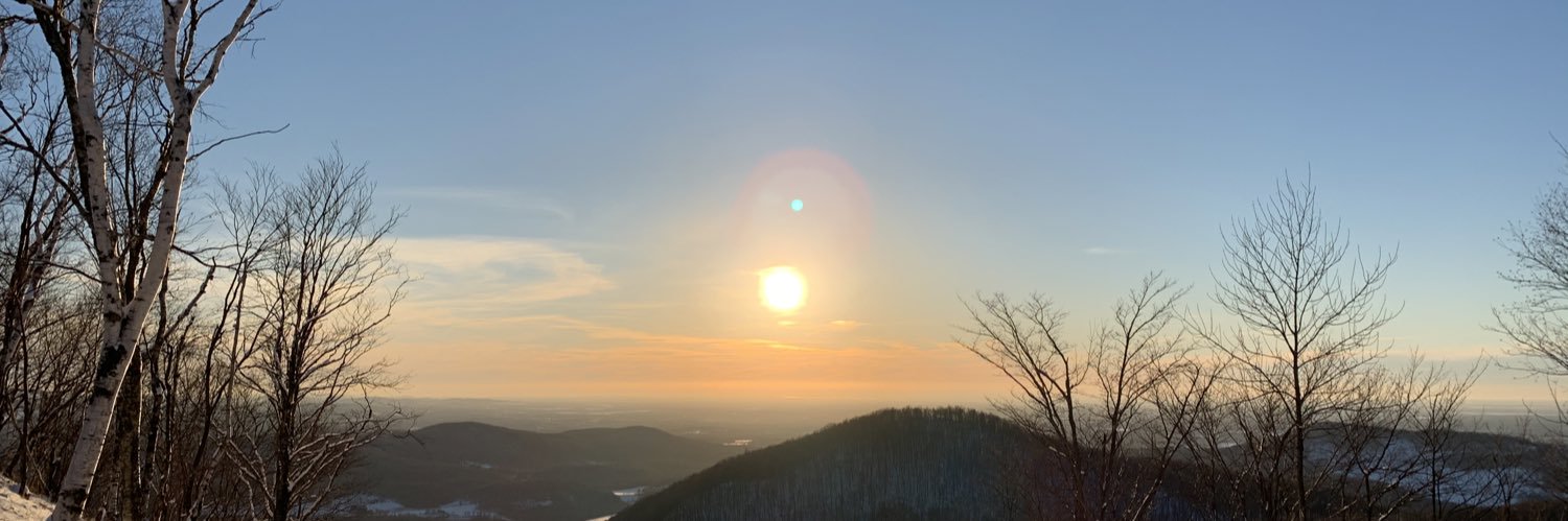 Jane Rabinowicz banner