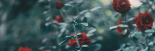 PassCode_nao Profile Banner