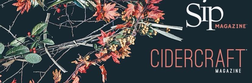 ThisIsMySip's profile banner image