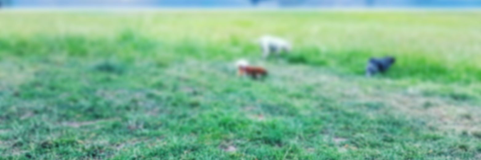 c05618596's profile banner image