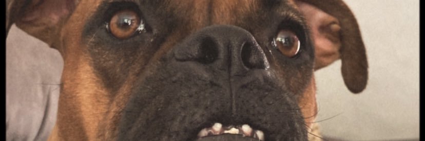 DectorAvila's profile banner image