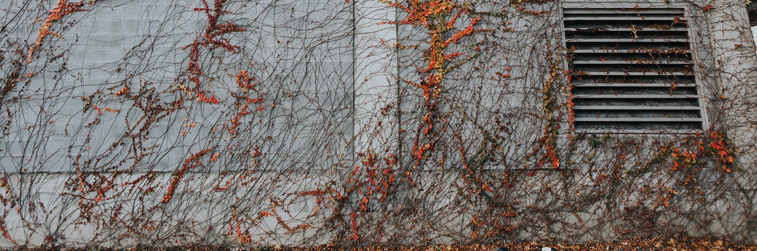 Treading Water banner