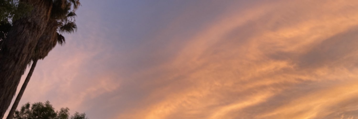 chiemikaneko's profile banner image