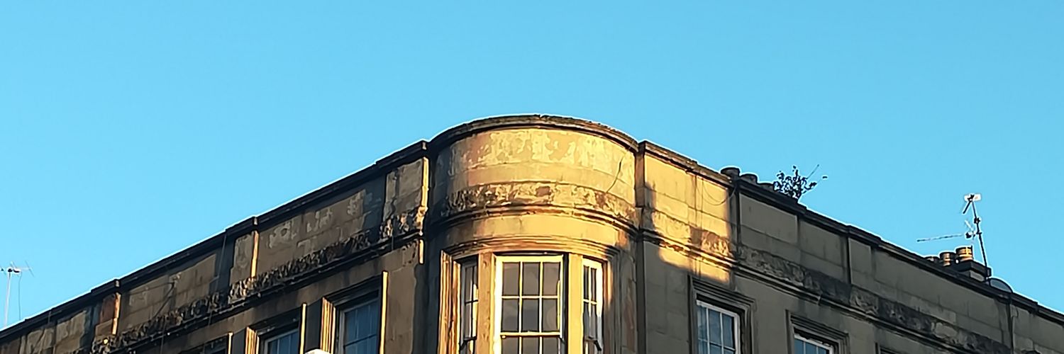 Daisy Bartlett banner