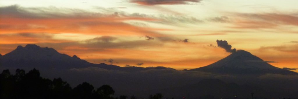 MIЯΣYΛ 🍀 banner