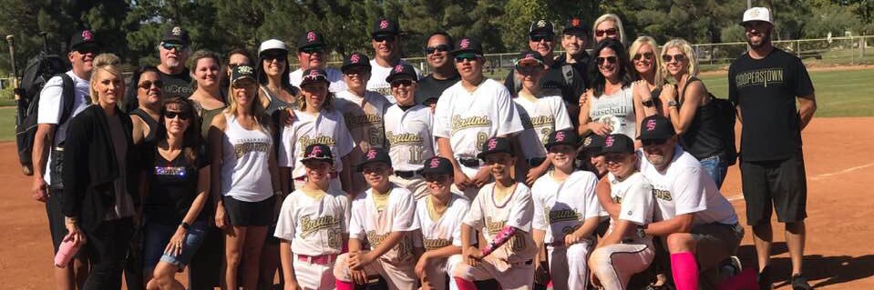 virtualbsbcoach's profile banner image